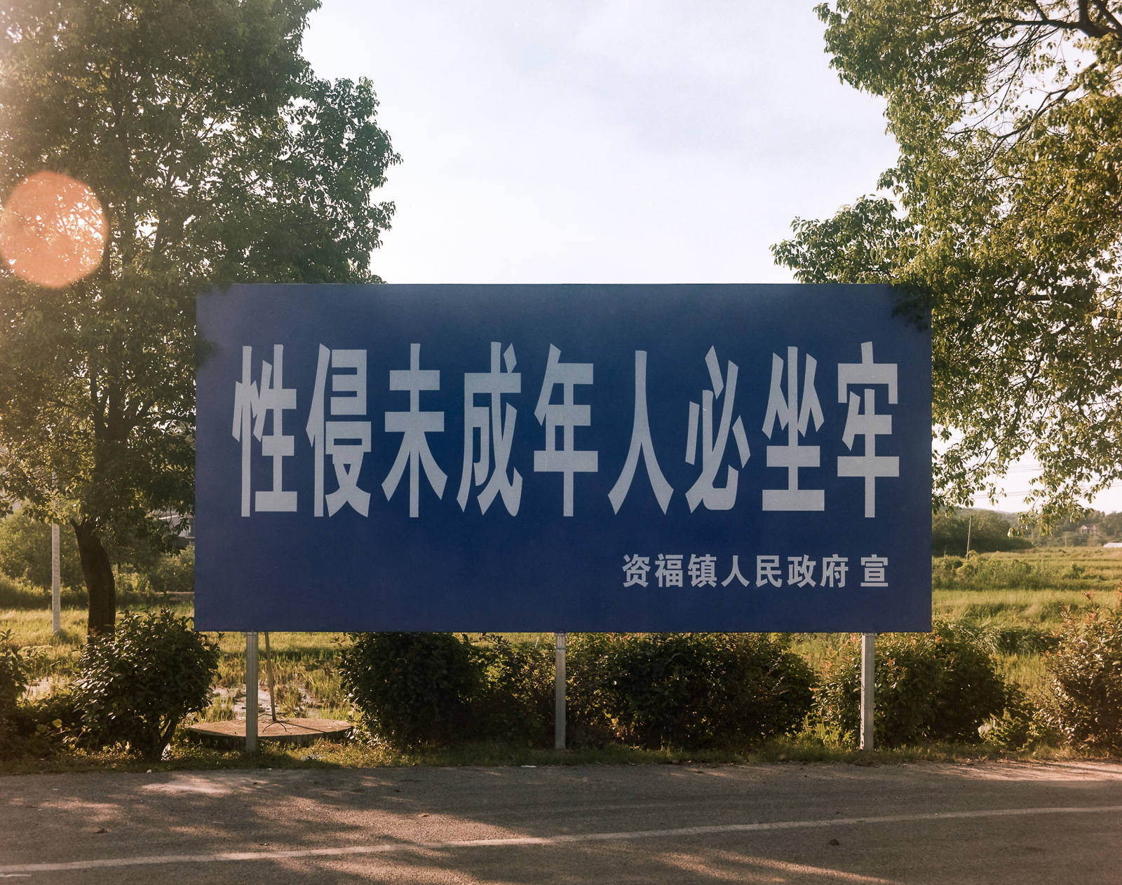 忽视的景观 image 13
